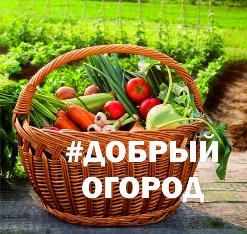 Социальный проект #Добрый огород