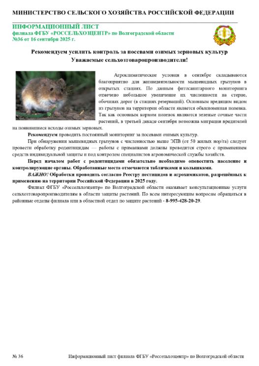 Информационный материал Мышевидные грызуны