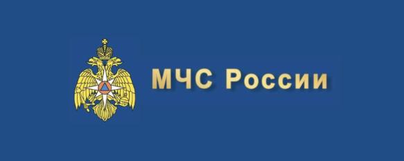 Главное управление МЧС России по Волгоградской области настоятельно рекомендует жителям региона позаботиться о своей безопасности