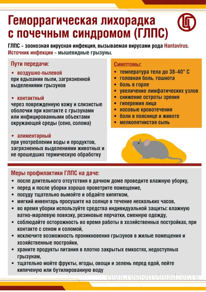 Геморрагическая лихорадка с почечным синдромом (ГЛПС) – острое инфекционное заболевание с поражением почек и кровеносных сосудов, выраженной интоксикацией, характерна весенне-летне-осенняя сезонность