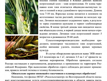 Информация для сельхозпроизводителей!